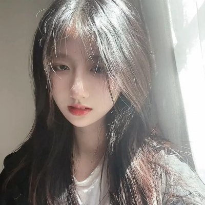 虎妈犬子